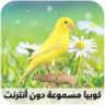 تغريد الكناري Application icon