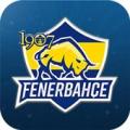 Fenerbahçe Duvar Kağıdı 2017 Apk