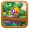 Nirina Bird Adventures Apk