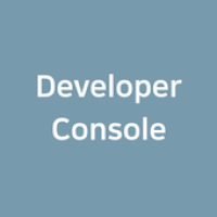 Developer Console APK 电影海报图片