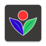 GRUPO VERFRUT Application icon