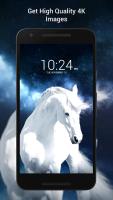 Free Horse Wallpaper Hd APK Screenshot #2