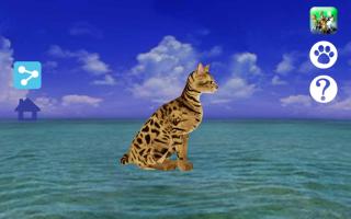 LOVE CAT!!  -Bengal cat (Unreleased) APK Ảnh chụp màn hình #18