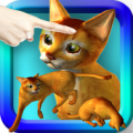 LOVE CAT!!  Abyssinian cat (Unreleased) Apk