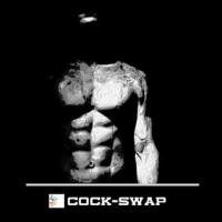 CockSwap - Gay Social Network APK صورة لقطة الشاشة #1