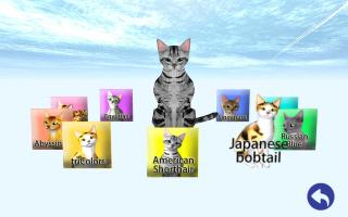 Captura de pantalla de LOVE CAT!! American Shorthair (Unreleased) APK #19