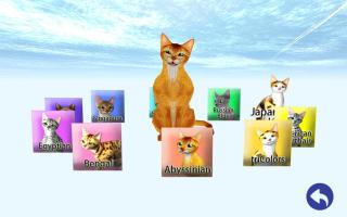 LOVE CAT!!  Abyssinian cat (Unreleased) APK Ảnh chụp màn hình #20