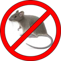 Rat Repellent Professional -anti pest & rodent pro APK 포스터