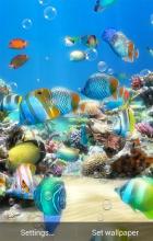 Aquarium Live Wallpaper APK Download for Android