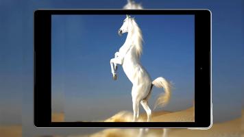 Free Horse Wallpaper Hd APK Screenshot #16