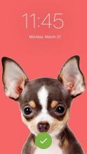 Cute Dog Chihuahua Puppy Kawaii Theme Screen Lock APK Download for Android