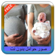 صور حوامل بدون نت APK