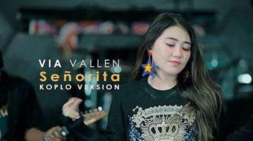 Via Valen Offline - Lagu Covers Koplo Version APK صورة لقطة الشاشة #2