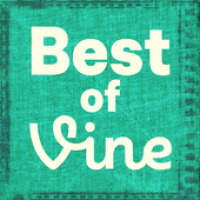 Изображения The Best of Vine на ПК с Windows