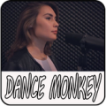 Dance Monkey Song Free - Offline Apk