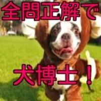 犬好き集合 親子で遊べるゲームわんこのおもしろ犬種当てクイズ Apk 1 0 0 Download Apk Latest Version