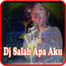 DJ Salah Apa Aku Application icon