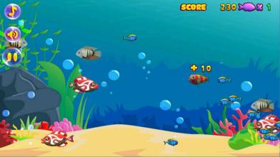 Hungry Shark APK Download for Android