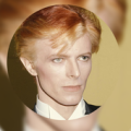 David Bowie Quotes Apk