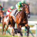 Real Derby Horse Racing Championship 2020 Apk