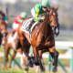 Real Derby Horse Racing Championship 2020 APK