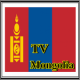 Mongolia TV Sat Info APK