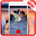 Pocket Birds GO! Apk