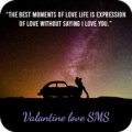 Valentine Love Sms Apk