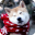 Akita Dog HD Live Wallpaper Download on Windows