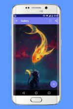 Kantty cat pictures 2017 APK Download for Android