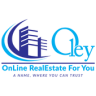 Oley Application icon