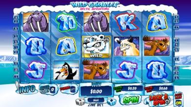 WILD GAMBLER ARCTIC ADVENTURE(FREECASINOSIMULATOR) APK Download for Android