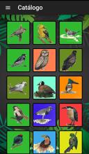 Birds Fly - The Adventure APK Download for Android