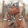 Lahore Ki Yadeinلاہور کی یادیں Download on Windows