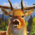 Jungle Deer Hunter 2016 Apk