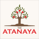 BALI HOTEL The Atanaya APK