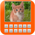 Animal quiz Guess word Apk