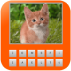 Animal quiz Guess word APK