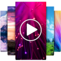 Video Wallpapers HD Apk