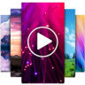 Video Wallpapers HD Application icon