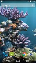 Amazing Aquarium Wallpaper APK Download for Android