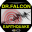 Dr.Falcon Earthquake Download on Windows