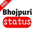 My bhojpuri status Apk