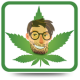 Budtender (Unreleased) APK