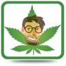 Budtender (Unreleased) Application icon