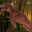 One day terror of dinosaur Download on Windows