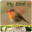 My Bird Download on Windows