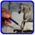 How to draw Horse Apk