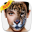 Insta Animal Face Photo Editor Download on Windows