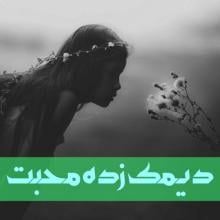 Deemak zada muhabbat APK Download for Android